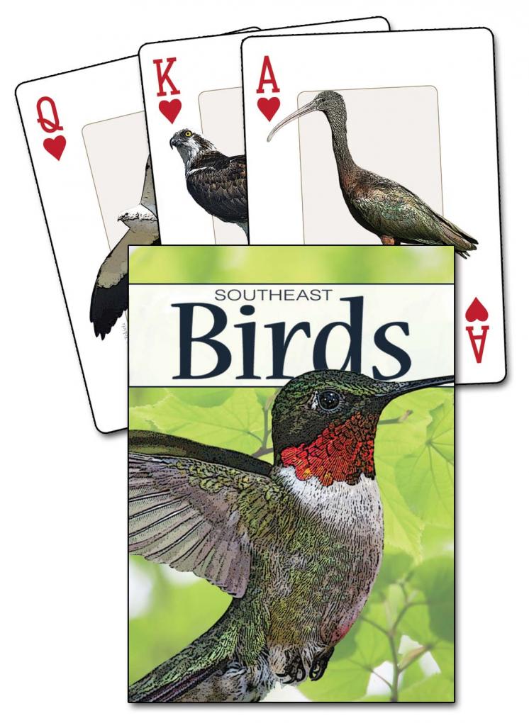 Birds of the Southeast Playing Cards